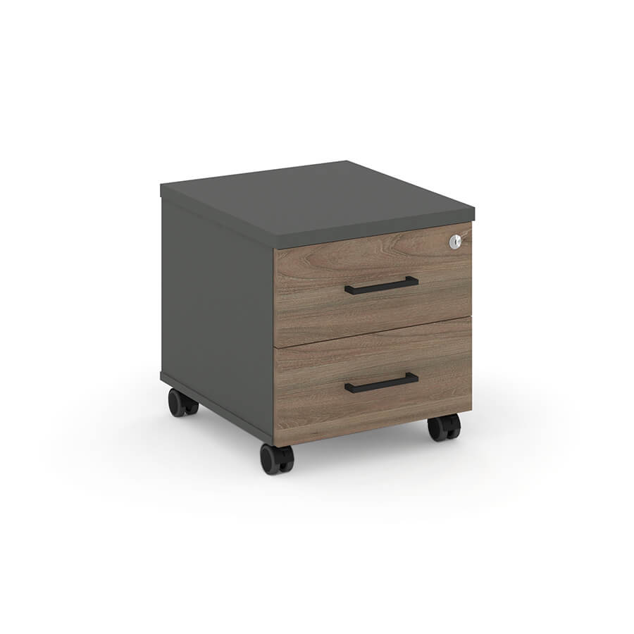 SN.TMU-001 Тумба мобильная 2 ящика. Усиленные колеса RIVA Style Project (Вяз Благородный/Антрацит)
