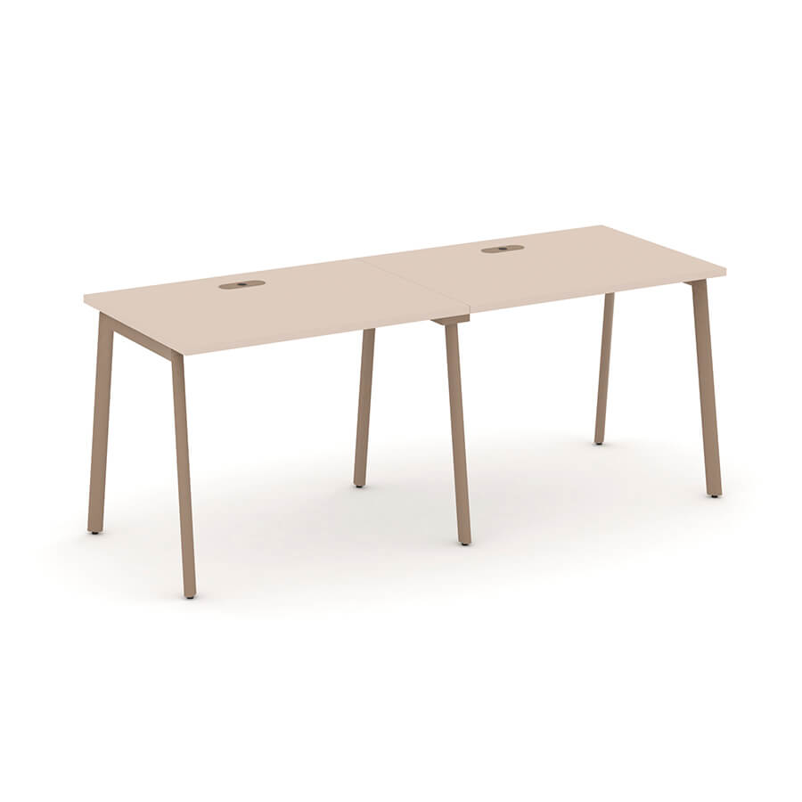 ES.RS-2.1-LP Рабочая станция на 2 места RIVA Estetica (Капучино/Металл Латте)