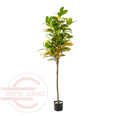 MC-81029MC Искусственный кротон Евро Офис (Зелёный)
