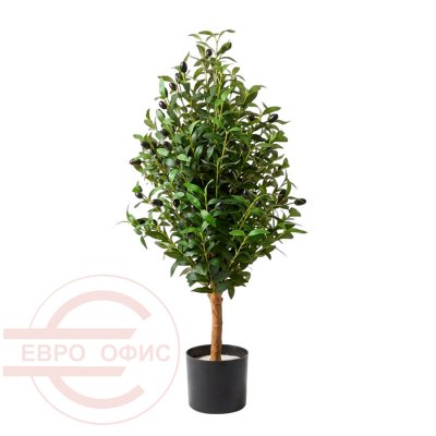 MC-78024QS Оливковое дерево с плодами Евро Офис (Зелёный)