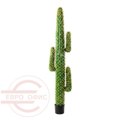 10027GC Кактус «Цереус Мексиканский» Евро Офис (Зелёный)