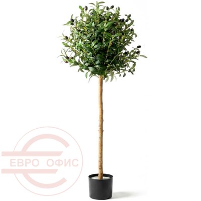 QS-004-810 Оливковое дерево с плодами Евро Офис (Зелёный)