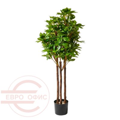 MC-20439LJ Искусственная шеффлера Евро Офис (Зелёный)