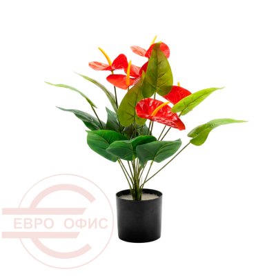MC-16300XJ Искусственный антуриум Евро Офис (Зелёный)
