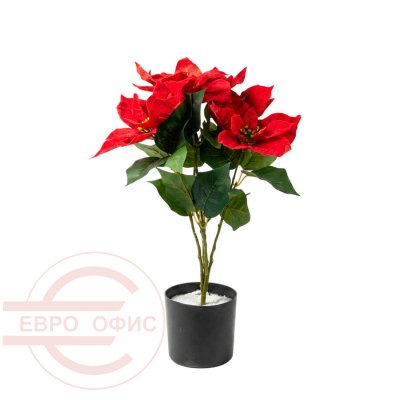 MC-86280QC Искусственая пуансеттия Евро Офис (Зелёный)