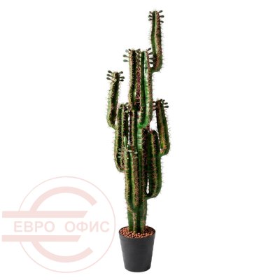 20014SF Искусственный кактус Евро Офис (Зелёный)