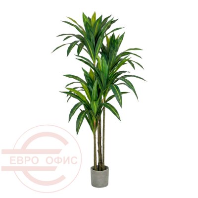 MC-11041SL Искусственная драцена Евро Офис (Зелёный)